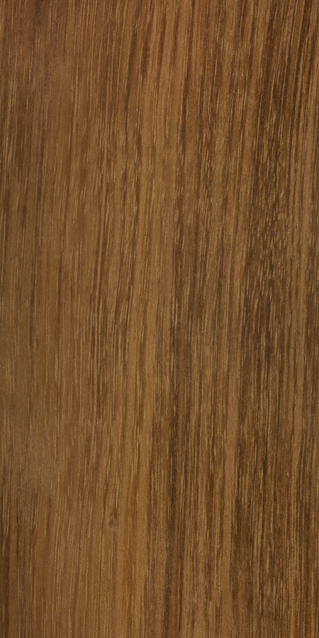 Australian Blackwood (3)