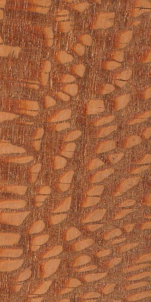 Leopardwood