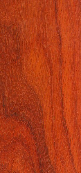 Padauk