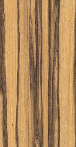 Zebrawood